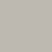 P10 Warm Gray