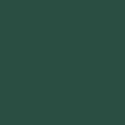 P13 Bold Green