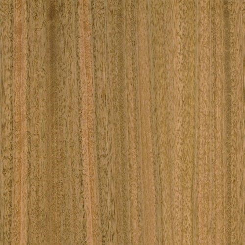 Quartered Eucalyptus